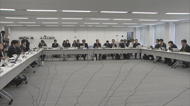 “標準的な出産費用”の自己負担の無償化へ 厚労省の検討会が取りまとめ 医療機関の経営にも配慮し引き続き具体策検討|TBS NEWS DIG