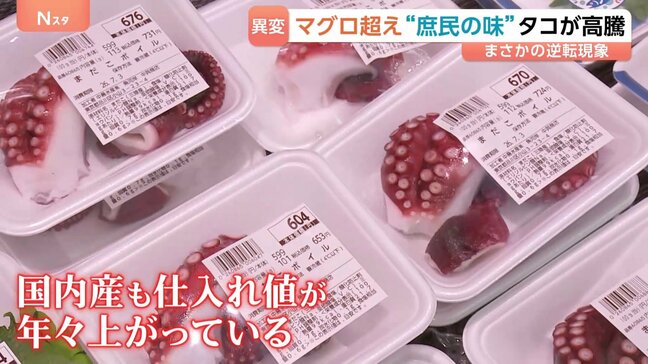 【タコ異変】マグロを超える高値に！国産も高騰で価格の「逆転現象」|TBS NEWS DIG