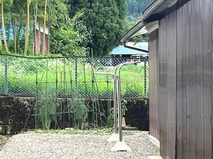 クマに顔引っかかれ…80代女性けが、意識はあり　県内の人的被害は10件に　福島・会津美里町|TBS NEWS DIG