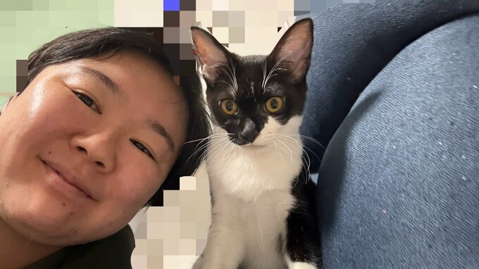 保護猫【 やす子 】〝60グラムの超未熟児〟ハチワレ猫を紹介　無事成長「もう2キロ近くあります！」|TBS NEWS DIG