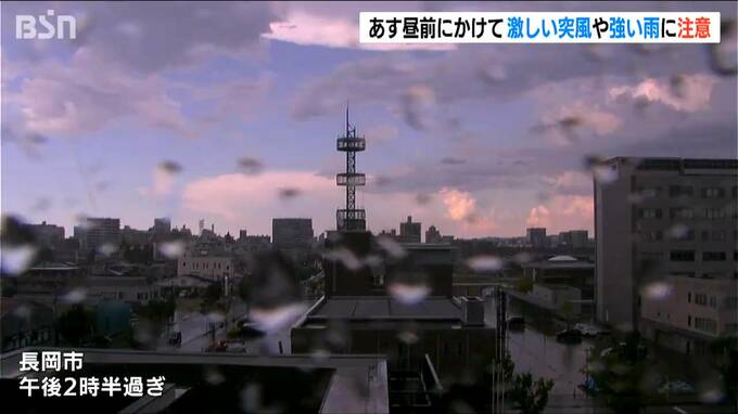 日照りが続く中、一部の地域で雨　新潟県|TBS NEWS DIG