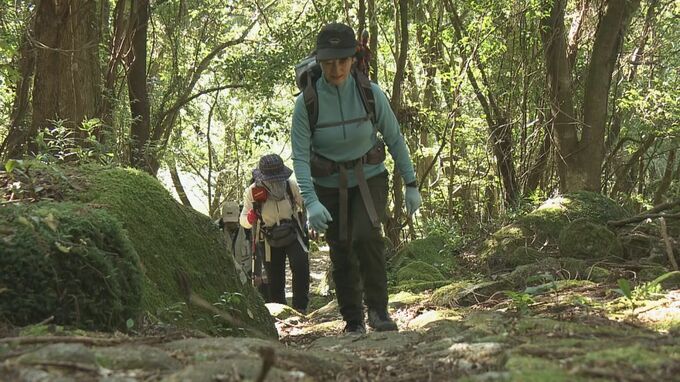世界遺産が舞台のウォーキング大会　標高647mの山登りや海沿いを歩くコースに分かれて自然を満喫　|　名古屋・愛知・岐阜・三重のニュース【CBC news】 | CBC web