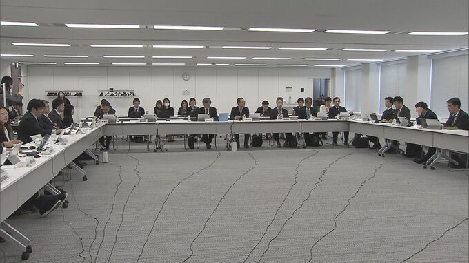 “標準的な出産費用”の自己負担の無償化へ　厚労省の検討会が取りまとめ　医療機関の経営にも配慮し引き続き具体策検討|TBS NEWS DIG