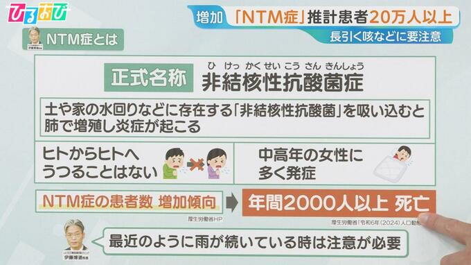 「咳が2週間以上続く」中高年の女性に多い『NTM症』感染経路や予防法は【ひるおび】|TBS NEWS DIG