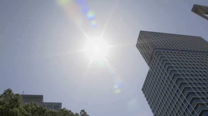 「暑い…とにかく暑いです」うだるような暑さの中で一番人気の「アセダレーヌ」って何？|TBS NEWS DIG