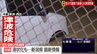 【映像】地震の揺れで駐車場が“液状化” 新潟市内で被害確認|TBS NEWS DIG