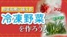 「冷凍野菜」が家計を救う　9月になっても続く暑さ　懸念される野菜の高騰　野菜ソムリエプロに聞く“今のうちに冷凍しておきたい野菜”|TBS NEWS DIG