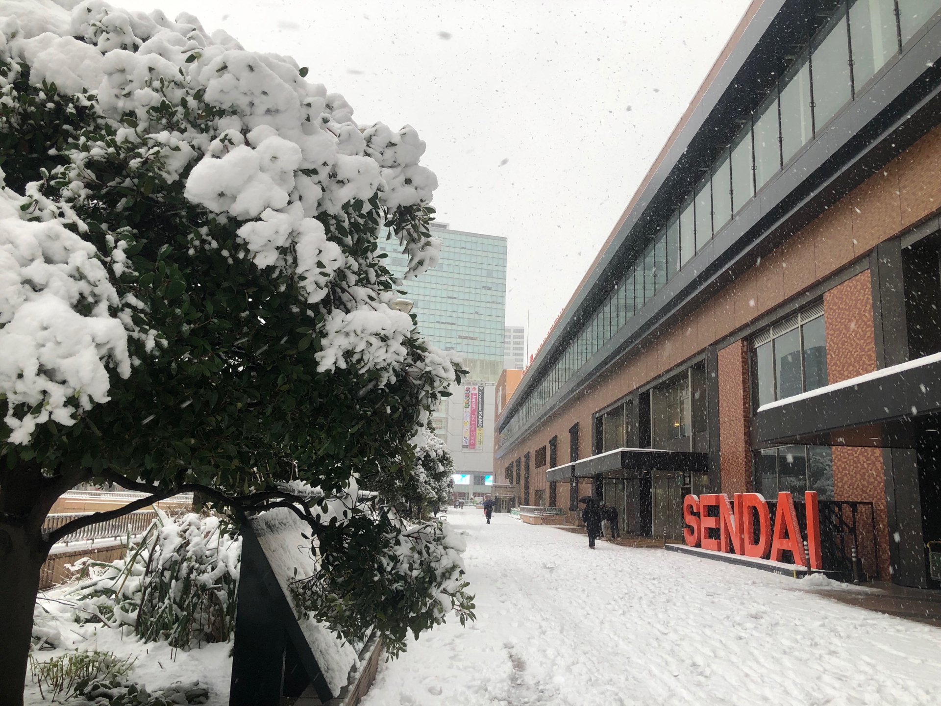 宮城県内広範囲で積雪 午前8時で大崎市古川で8㎝、仙台で7㎝、白石で5