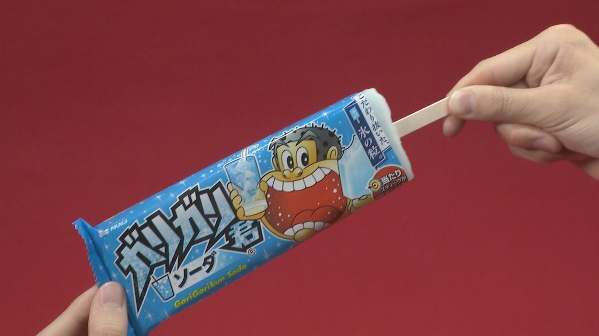 政宗2 送料込み 楽天市場】KS 隣接金物 2型 100個セット W5／16専用です