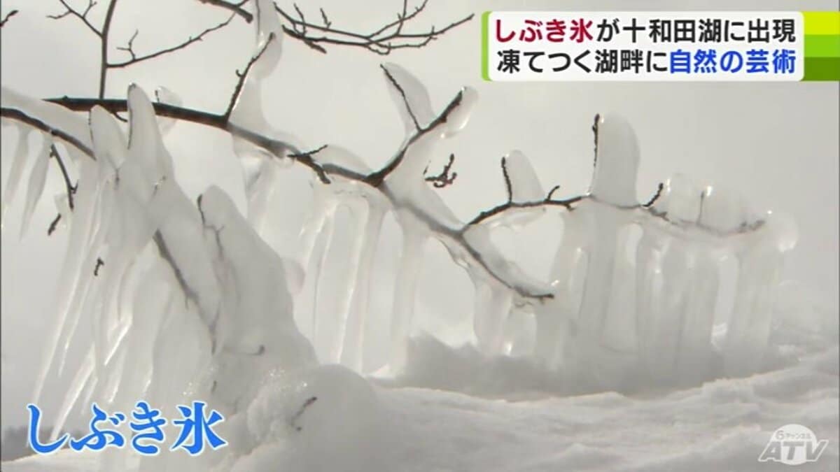 真冬の十和田湖畔が幻想的な“氷の世界”に 厳寒が生み出す自然の芸術