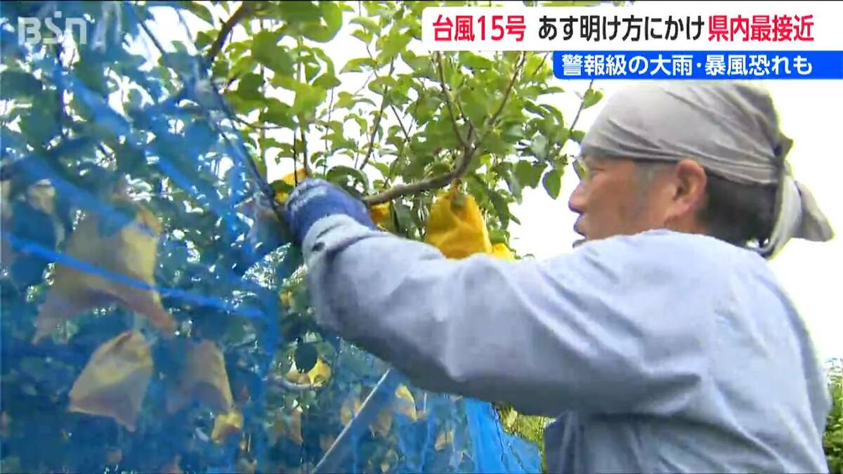 サムネイル_台風15号 新潟に接近　11日夜から激しい雨に　「なんとか被害防ぎたい」　加茂市では果樹園に暴風ネット設置　　