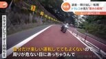 危険逆走バイクに、飛び出し自転車、そして…横転するシカ、ドライブレコーダーが捉えた危険な瞬間|TBS NEWS DIG