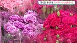 10日は「母の日」　カーネーションの出荷がピーク迎える　トレンドは『大輪系』|TBS NEWS DIG