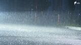 台風15号 静岡県内には5日夕方最接近 昼過ぎにかけ雨、風強まる 倒木で交通規制も | 静岡のニュース | SBSNEWS | 静岡放送