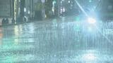 東海地方 夕方まで大雨予想 ｢線状降水帯｣発生のおそれも 名古屋市内は未明にやや強い雨 今後の雨シミュレーション|TBS NEWS DIG