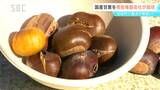 「気持ちいい笑顔」保育園児が地元産の甘栗を味わう　栗拾いも体験！　栽培するのは…電子機器メーカー　長野・宮田村|TBS NEWS DIG