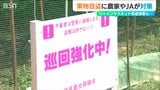 過去にはシャインマスカット100房 ナシ100キロの被害も… 果実の盗難防げ!盗難対策の看板設置 新潟・三条市 | 新潟のニュース・天気|BSN NEWS|BSN新潟放送