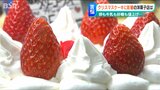牛乳に砂糖、イチゴ… クリスマスケーキがピンチ!「材料費の高騰に加え、人件費もアップ」|TBS NEWS DIG