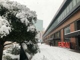 宮城県内広範囲で積雪 午前8時で大崎市古川で8㎝、仙台で7㎝、白石で5㎝ 「次第に雨に変わり昼過ぎにはやむ」も低気圧急発達で15日にかけ強風・暴風に注意・警戒|TBS NEWS DIG