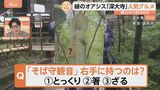 老若男女に人気！都会のオアシス「深大寺」…そば守観音が右手に持つのは？|TBS NEWS DIG