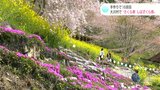 色とりどり!手づくりで10回目 “さくら祭しばざくら祭” 高知・大川村 | 高知のニュース・天気|KUTV NEWS | KUTVテレビ高知