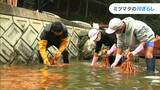 「冷たい!!」水温は1℃ 小学生が和紙の原料 “ミツマタ”の川ざらしに挑戦「寒い中で和紙を作っているのが、すごい」【岡山・津山市】|TBS NEWS DIG
