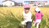 富山のお米を味わって!園児たちがマリ共和国への支援米を刈り取り 富山・滑川市 |TBS NEWS DIG