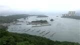 赤潮警報発表中の長島町で被害か　いけすで養殖ブリ死ぬ　鹿児島県が被害状況を調査|TBS NEWS DIG