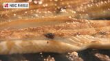 およそ2000点が集まる秋の県産品まつり開催中 長崎市の浜屋百貨店 | 長崎のニュース | 天気 | NBC長崎放送