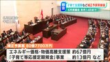 新潟県独自「子育て等応援定期預金」など総額80億7700万円の補正予算案を審議 新潟県議会6月定例会|TBS NEWS DIG