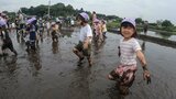 幼稚園児が田植え体験 元気いっぱい泥遊びも 大分 | 大分のニュース|OBS NEWS|大分放送
