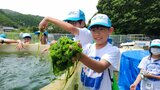 高知のアオノリを守りたい!子どもたちの思いが込められた「アオノリポップコーン」を高知海洋高校文化祭で販売 | 高知のニュース・天気|KUTV NEWS | KUTVテレビ高知