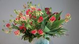 「自分の好きなお花探しを」16流派の作品558点を集めた華道展 色とりどりの生け花を楽しんで【岡山】|TBS NEWS DIG