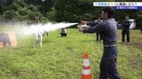 花火、スプレーなど工事現場でクマに遭遇した場合の対策を学ぶ 作業員向けクマ被害対策研修会 盛岡市|TBS NEWS DIG