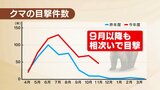 「今年はベビーブームもエサ凶作…」年末まで警戒を　クマ目撃急増で県が異例の呼びかけ　福島　|　福島のニュース│TUF