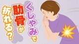 「くしゃみや咳で肋骨が折れることは、あります」花粉症でも要注意…くしゃみが引き起こす疲労骨折の仕組みと対策|TBS NEWS DIG