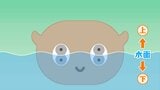 目が4つ!?陸上、水中、注意警戒!ミヤマミズスマシ【ぷくぷくキュンアニマルズ⑫】 | 福島のニュース│TUF