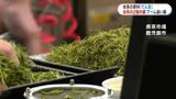 世界的な抹茶ブームで「てん茶」生産量急増　取引価格は去年の2倍…「とにかくお茶が足りない」　鹿児島|TBS NEWS DIG