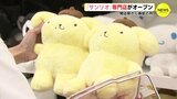 「かわいくて、ついつい買っちゃう」サンリオ専門店がオープン　開店前から長蛇の列　“ぬい撮り” コーナーも　|　RCC NEWS | 広島ニュース | RCC中国放送