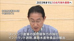 「50兆円の海外展開目指す」アニメやゲームなど日本文化の関連産業の成長へ　岸田総理が表明| TBS CROSS DIG with Bloomberg