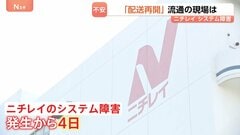 ニチレイのシステム障害　“冷凍食品”だけでなく…くら寿司・ケンタッキーなど外食チェーンやスーパーのアイス　流通の現場で不安の声| TBS CROSS DIG with Bloomberg