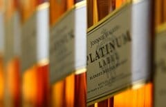 中国、英国産ウイスキー関税半減へ－スターマー首相訪中で示す| TBS CROSS DIG with Bloomberg