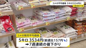 コメ平均価格7週連続値下がり　5キロ3534円　全地域で3000円台に　「随意契約」による2000円前後備蓄米の流通拡大が要因か|TBS NEWS DIG