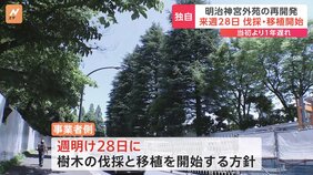 【独自】神宮外苑再開発　事業者が来週28日に樹木の伐採・移植を開始　当初の予定より1年ほどの遅れ|TBS NEWS DIG