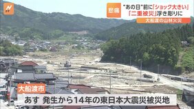 「二重被災」の状況が浮き彫りに 山林火災・避難指示解除の岩手・大船渡市 あす発生から14年迎える東日本大震災の被災地の一つ|TBS NEWS DIG