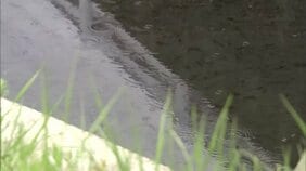 発生6日目で初の雨を観測　火の勢い低下なるか　大槌町山林火災　岩手|TBS NEWS DIG