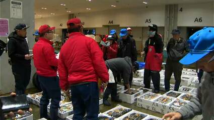 高値は12万円超のキハダマグロ 鹿児島市魚類市場で初競り | 鹿児島の