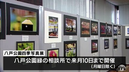 満開のサクラとジェットコースターや青い空に沈みゆく夕日など… 公園内