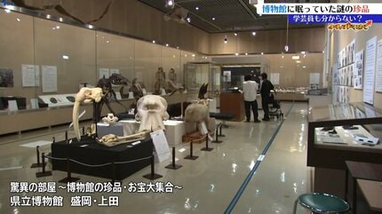 珍品画像博物館 霊獣の絵？ツキノワグマのこどものはく製？アナコンダの皮？博物館の奥