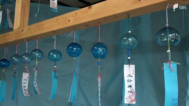 西伊豆の空と海イメージ…青い風鈴240個を神社に ガラス作家らが設置＝静岡・西伊豆町|TBS NEWS DIG